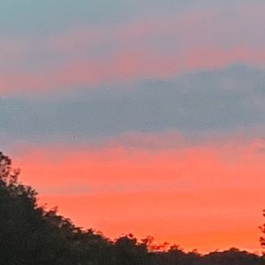 Meet your Posher, Jordyn